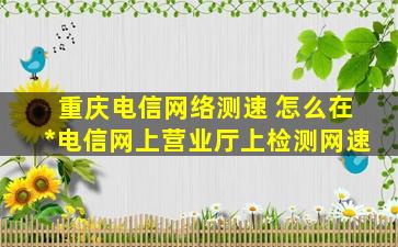 重庆电信网络测速 怎么在中国电信网上营业厅上检测网速